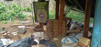 Anulan 13 toneladas de droga en parque natural de Itapúa